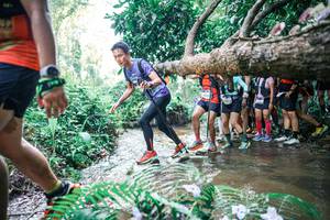 BIB: 
                            <button type="button" onclick="openModal(25466346)" class="btn btn-primary btn-sm float-right btn-popup" data-toggle="modal" data-target=".modal-high-quality">
                        <i class="fas fa-shopping-cart"></i> Add to Cart
                    </button>
                                            <button type="button" onclick="isThisMe(25466346, true)" class="btn btn-success btn-sm float-right btn-popup btn-isme hidden" data-toggle="tooltip" data-placement="bottom" title="นี่คือรูปของคุณใช่ไหม คลิกที่นี่เพื่อเอาเข้าอัลบั้ม">
                        <i class="fas fa-plus"></i> Add to album
                    </button>
                    <button type="button" onclick="isThisMe(25466346, false)" class="btn btn-warning btn-sm float-right btn-popup btn-isnotme hidden">
                        <i class="fas fa-ban"></i> Remove from album
                    </button>